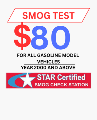 SMOG TEST2 (11)